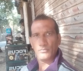 Anilkaurav, 44 года, Gwalior