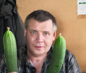 Александр, 49 лет, Никольское