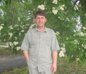 Валерий, 56 лет, Воронеж