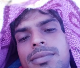 Salman Ansari, 20 лет, Muradnagar