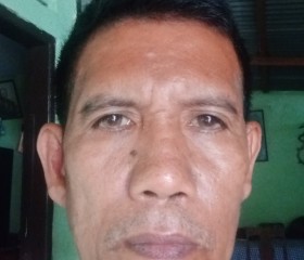 Jeremia sitohang, 52 года, Kota Medan