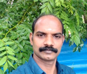 Sarath kumar, 33 года, Kochi