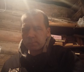Андрей, 40 лет, Вязники