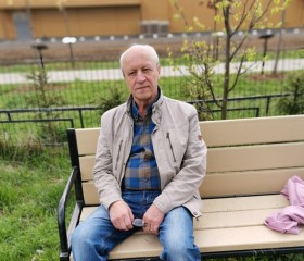 Владимир, 72 года, Подольск