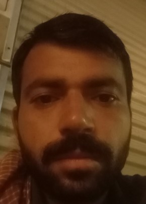 Ali