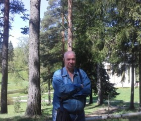 Вячеслав, 65 лет, Санкт-Петербург