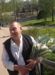 Николай, 72 года, Тверь