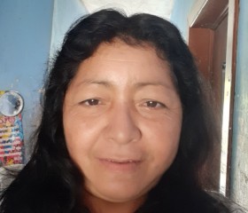 Dulce Ontiveros, 58 лет, Cozumel