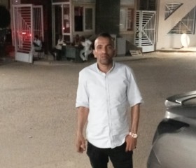 Seyed omer, 46, Cairo