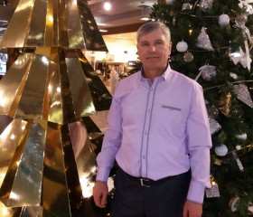Viktor Petrenko, 51 год, Южне