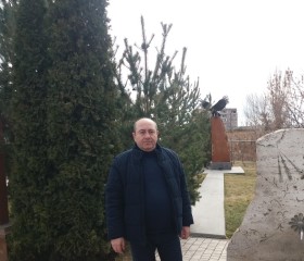 Levon Grigoryan, 59 лет, Երեվան