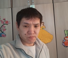 Дамир, 39 лет, Бишкек