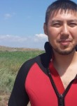 Тимур, 40 лет, Алматы