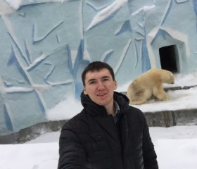 Артем, 29 лет, Томск