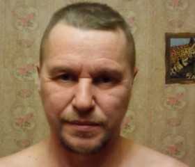Виталий, 51 год, Электросталь