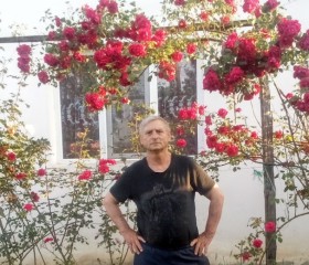 George gița, 62, Corcova