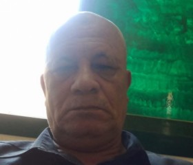 الاستاذ عبدالطيف, 46, Mallawi
