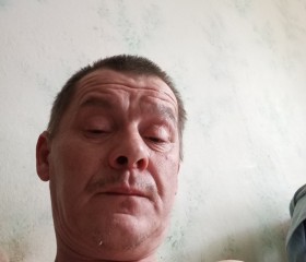 Dima, 45, Aleksin