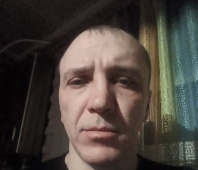 Виталий, 42 года, Красный Кут