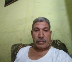 احمد الجهيني الج, 56 лет, القاهرة