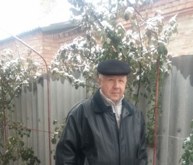 Николай, 66 лет, Костянтинівка (Донецьк)