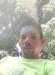 Leandro, 28 лет, São Luís