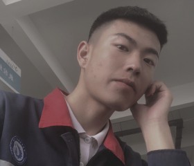 树, 23, Qingdao