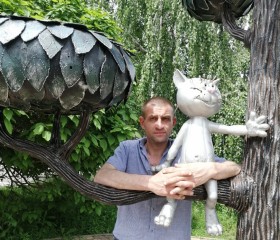 Иван, 43 года, Воронеж