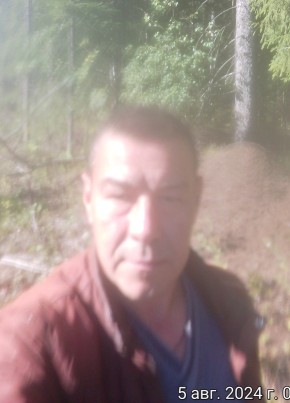 Aleksey, 37, Russia, Pavlovskiy Posad