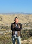 Артур, 49 лет, Бишкек