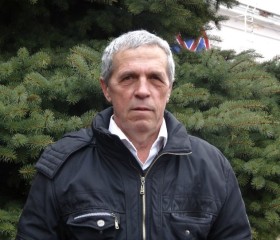 Вдадимир, 76 лет, Саки