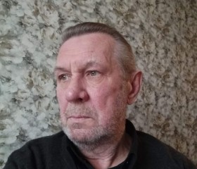 виталий, 71 год, Санкт-Петербург