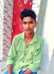 SOM rajput, 27 лет, Kanpur