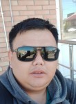 Шынгыс Байсабаев, 35 лет, Алматы