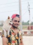 Amit shukla, 25 лет, Gurgaon