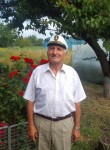 Сергей Трубиенко, 72 года, Краснодар