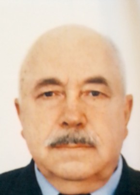 Михаил, 70, Россия, Пермь