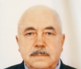 Михаил, 71 год, Пермь
