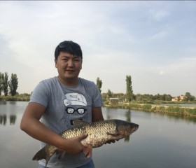Arsen, 39 лет, Бишкек