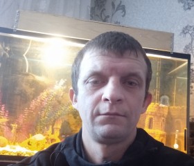 Kostya, 38, Gomel