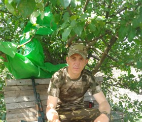 Степан, 38 лет, Валуйки