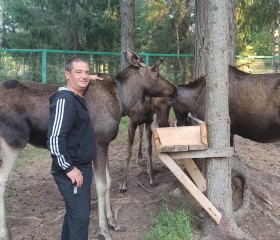 Илья, 43 года, Вологда