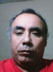 manolo, 53 года, Santiago de Chile