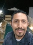 Jose milton, 42 года, Aparecida de Goiânia