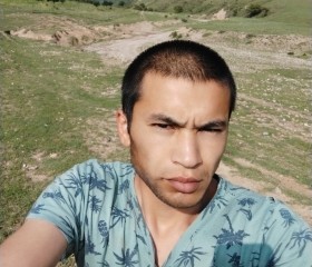 Артур, 29 лет, Бишкек
