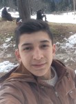 Mehmet  Akif, 23 года, Tirebolu