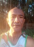 Paulo José, 48  , Brasilia