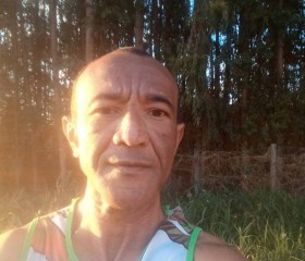 Paulo José, 50 лет, Brasília