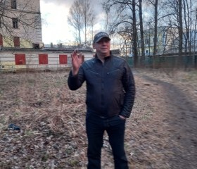 Иван Лебедев, 53 года, Санкт-Петербург