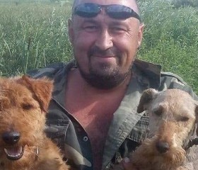 Тарас, 50 лет, Володимир-Волинський